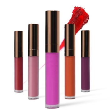 Label pribadi grosir tahan air 40 warna bibir matte lipgloss dengan logo khusus