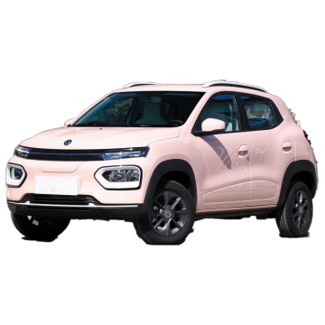 2024 China Mini SUV: Dongfeng Nano Box New Energy Electric Cars (4 Seats)