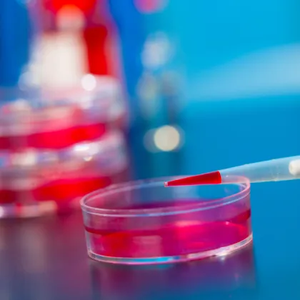 Bulk Lutein Natural Colorant Vision Support