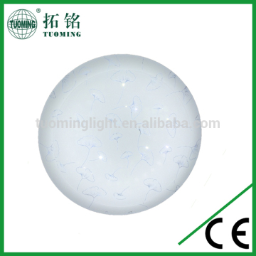 8W12W18W24W Flush Mounted Ceiling Led Light
