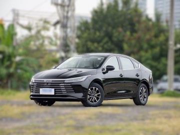 2024 BYD King05 DM-i 55KM Glory Luxury