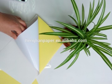 Coated Glass Paper
