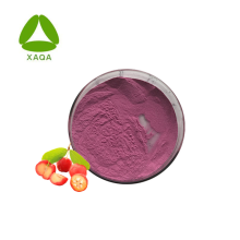 Nutritional Supplement Acerola Cherry Extract Vitamin C