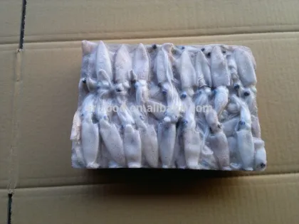 frozen sea fish baby squid