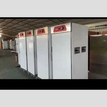 Stainless Steel S/S 304 Thermos Food Warmer for Catering