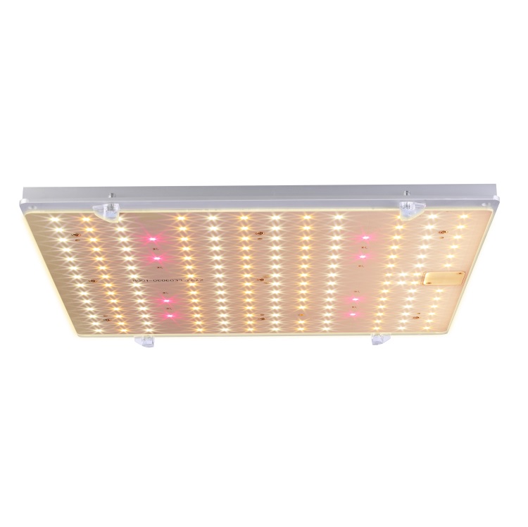 1000w Quantumn Board Led Grow Light