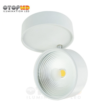 Ajustable 18W Ledダウンライト表面実装
