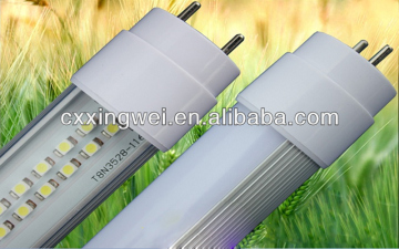 2013 T8 LED Tube made in China led tube 8 japanese
