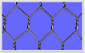 hexagonal wire netting