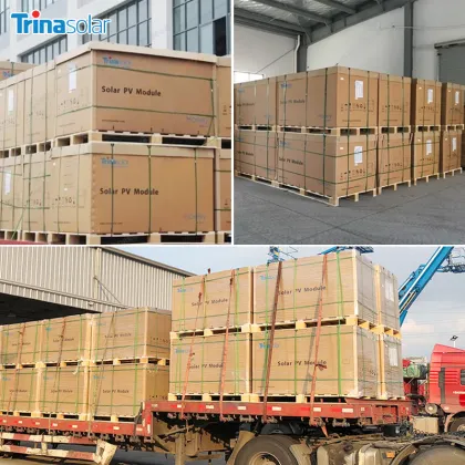 Europe Stock Trina Solar TSM-550DE19 PV Module