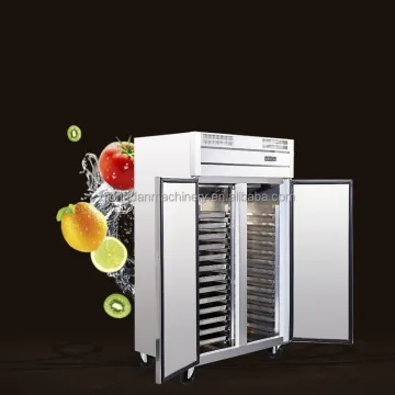 Stainless Steel Blast Freezer with Trolley for Fish - Instant Frozen Chiller