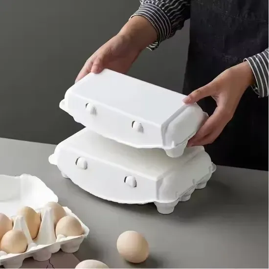 Sustainable Egg Tray Solution with Perforated Paper Design
