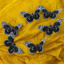 Butterfly craft house