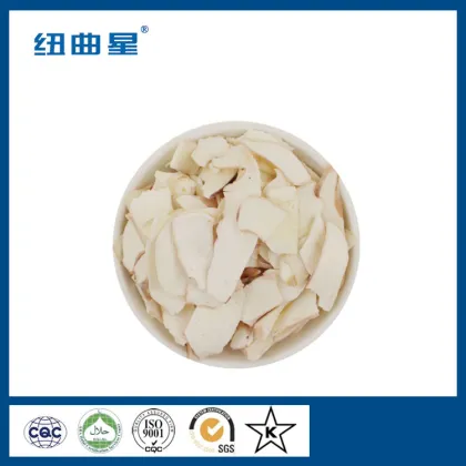 Bulk freeze dried squid slice