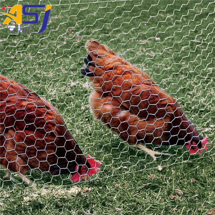 factory cheap hexagonal chicken wire mesh fencing rolls