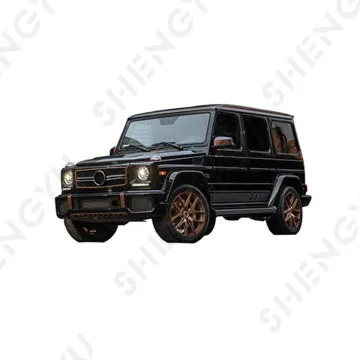 Car Bumper Grille Eyebrow for Benz G Class W463 2004-2018 - Upgrade to G65 AMG Style