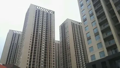 Wholesale Japan coating interior heat-proof paint roller wall painting