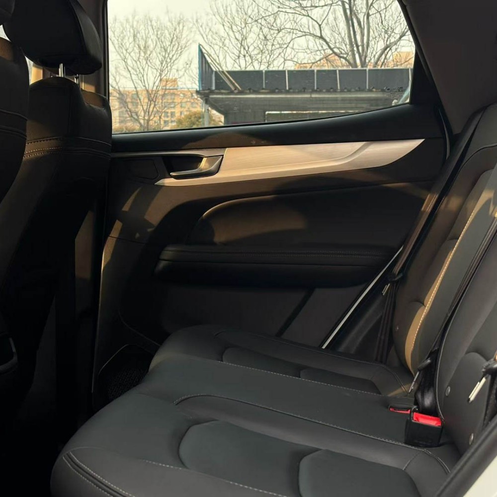 Showjet 2025 1.5L CVT Luxury Edition