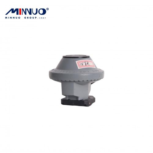 High Promoted BBQ Lpg Gas Regulator