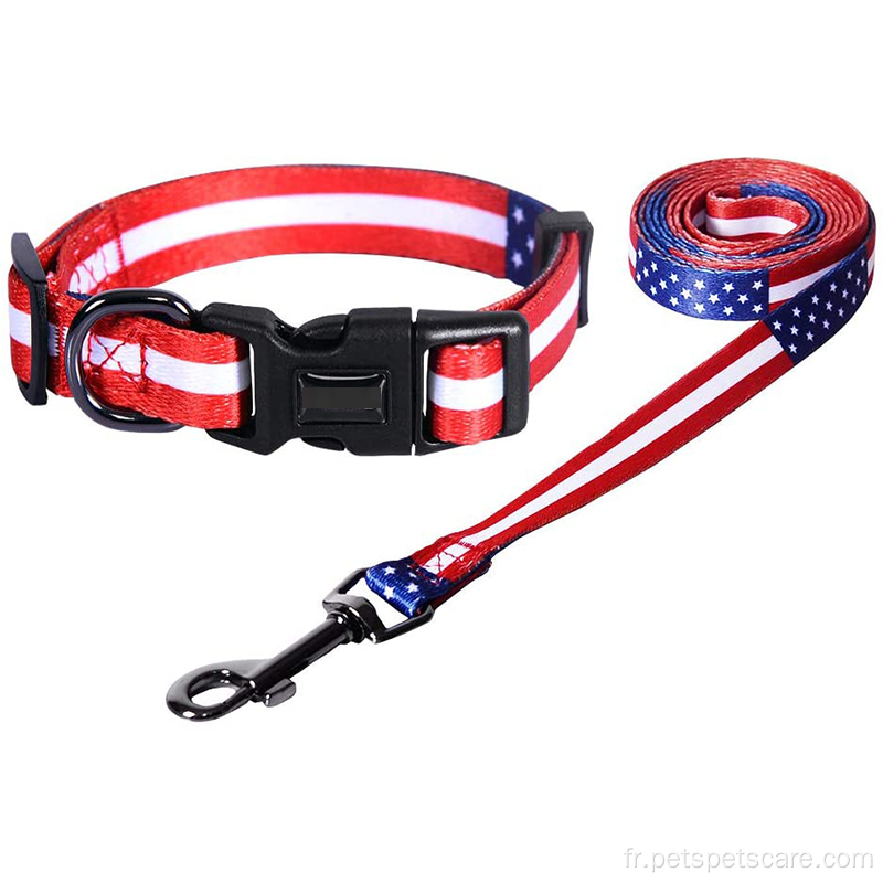 Conception personnalisée Strong Pet Dog Collar et Lae