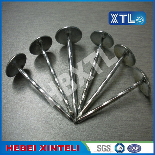 Electric Galvanized Smooth Shank Umbrella Roofing Nails