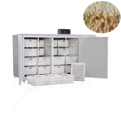 Electric Automatic Bean Sprout Maker: Mung Bean Sprouts Washing and Making Machine
