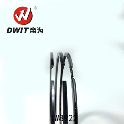 High Quality Piston Ring Set 1W8922 for Caterpillar - Dwit Spare Parts