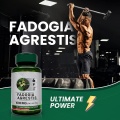 OEM/ODM Long Endurance Man Fadogia Agrestis Capsules