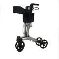 Tonia Adult Walker voor gehandicapte rollator Waker TRA34