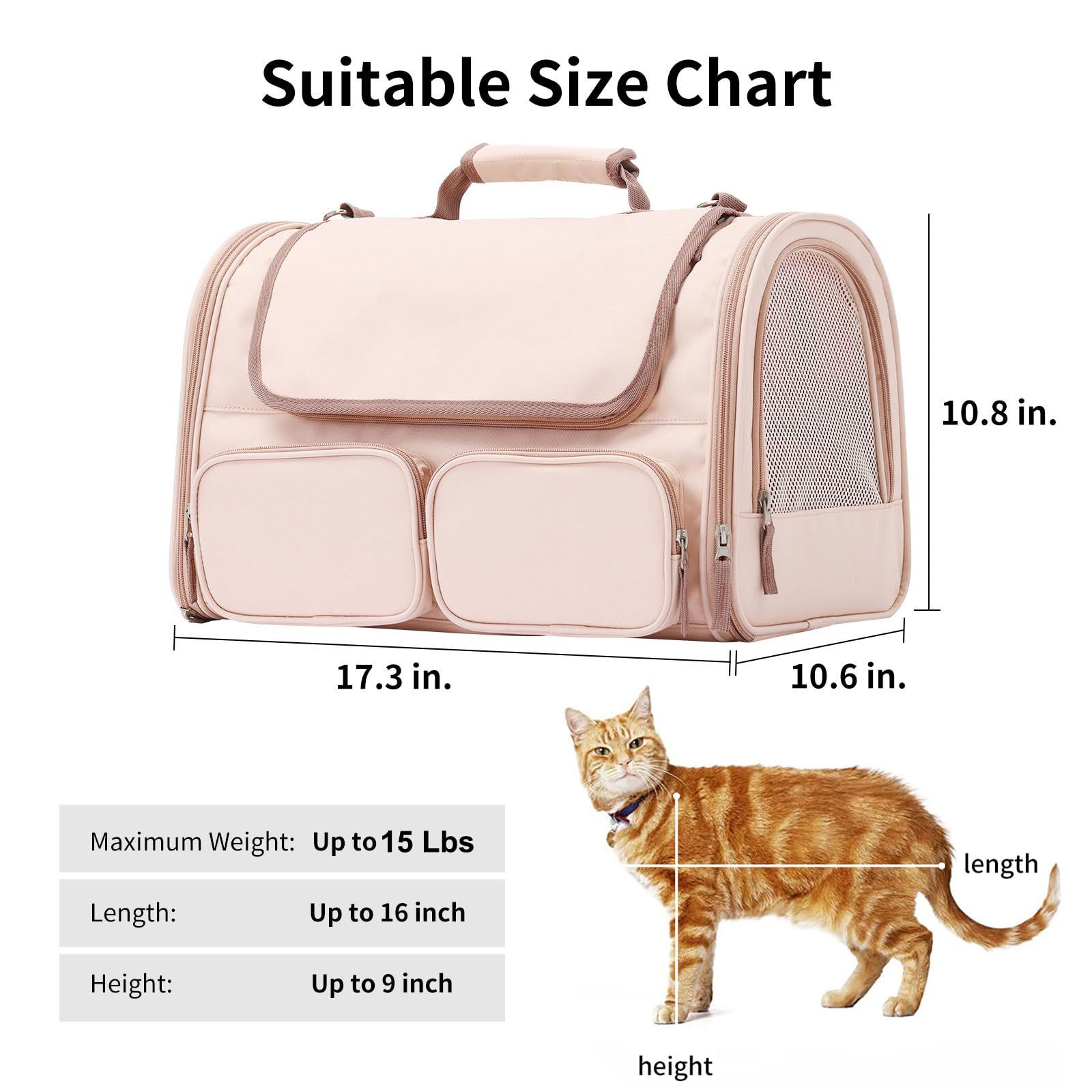 2-X-4Sided-pet
