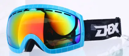 OEM rayzor ski goggles