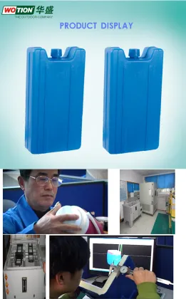 Factory Wholesaler: Plastic Reusable Ice Pack Cubes for Food & Fruits in Cold Chain