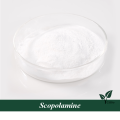 Scopolamine powder for sale