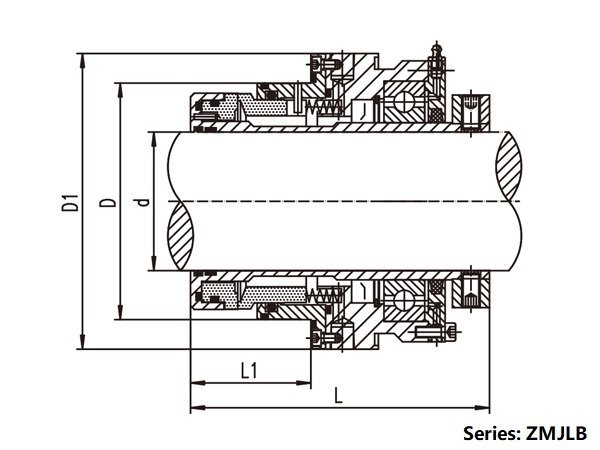 Agitator Mixer Seals