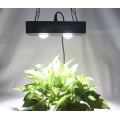 WENYI factory led plant lighting for medical plants