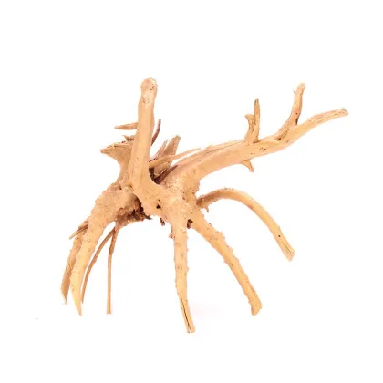 Natural Driftwood for Fish Tanks: Aquarium Decorations and Plants