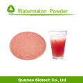 Freeze Dried Watermelon Fruit Powder