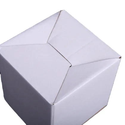 Carton Box Corrugated Cardboard Box Packaging