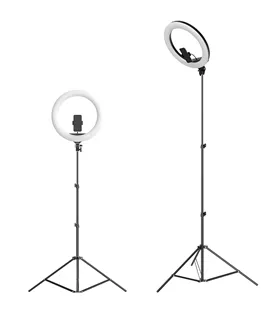 Aros De Luz Pendant, 18 Inches