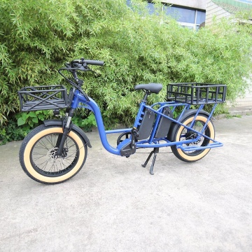 20 inch 750W 52V elektrische vrachtfiets met dubbele batterijen en dikke banden voor voedselbezorging