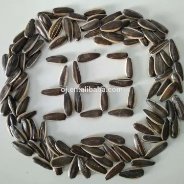 Hot sale striped sunflower seeds 363