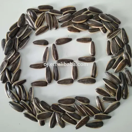 Hot sale striped sunflower seeds 363