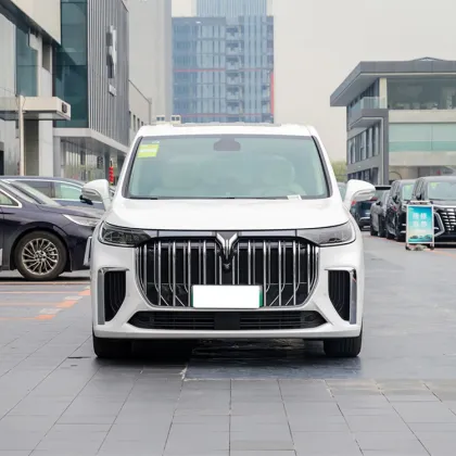 Voyah Dreamer 2024 New Energy HPEV MPV Vehicles