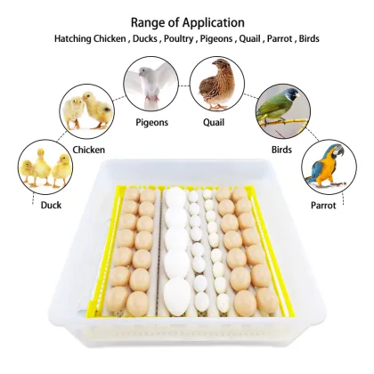 56eggs Intelligent Automatic Mini Eggs Incubator