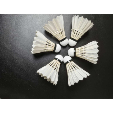 Hot Selling Quality Training Badminton Shuttlecock