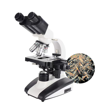 Trinocular Kaisi 36565 Microscope with Adjustable Light Source