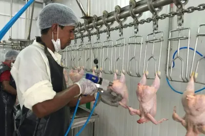 Poultry products lung removal nozzle