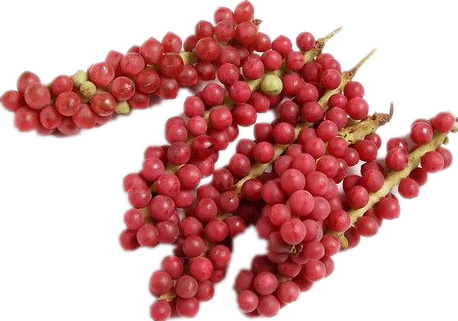 schisandra