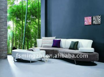 beautiful sofa