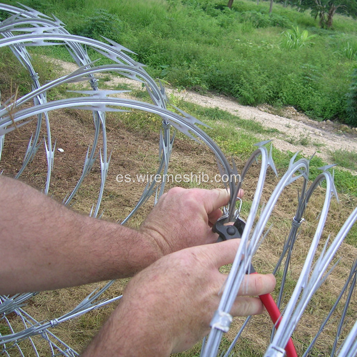 Razor Wire Fence-Concertina Tipo de bobina